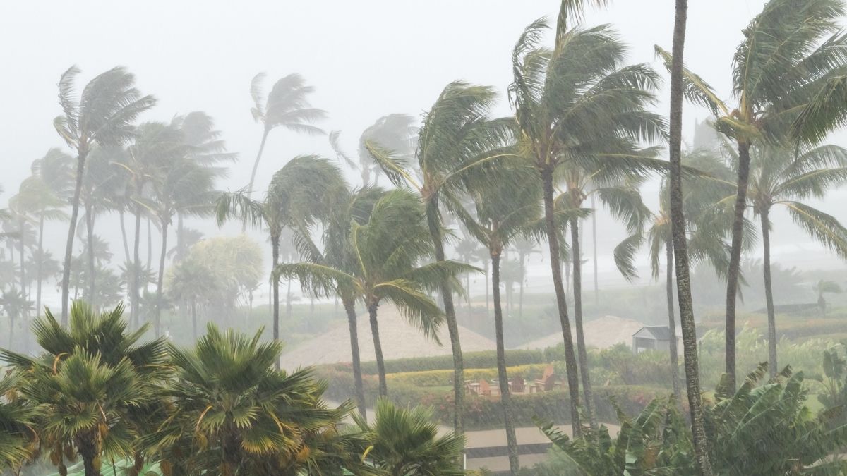 cyclone-hamoons-landfall-process-starts-seven-states-on-rain-alert-tejs-intensity-weakens-in-yemen-weather-updates